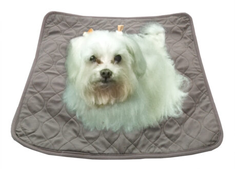 MC-1030S Reusable Incontinence Bed Pad with 4-Layer Design - S : 52 x 52 cm - Image 5